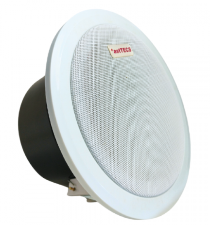 *astCS10 - 10W Ceiling IP PA Speaker